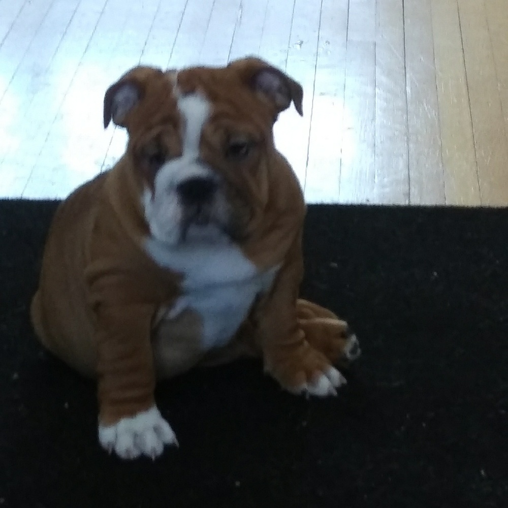 Meet your Posher, Suzanne